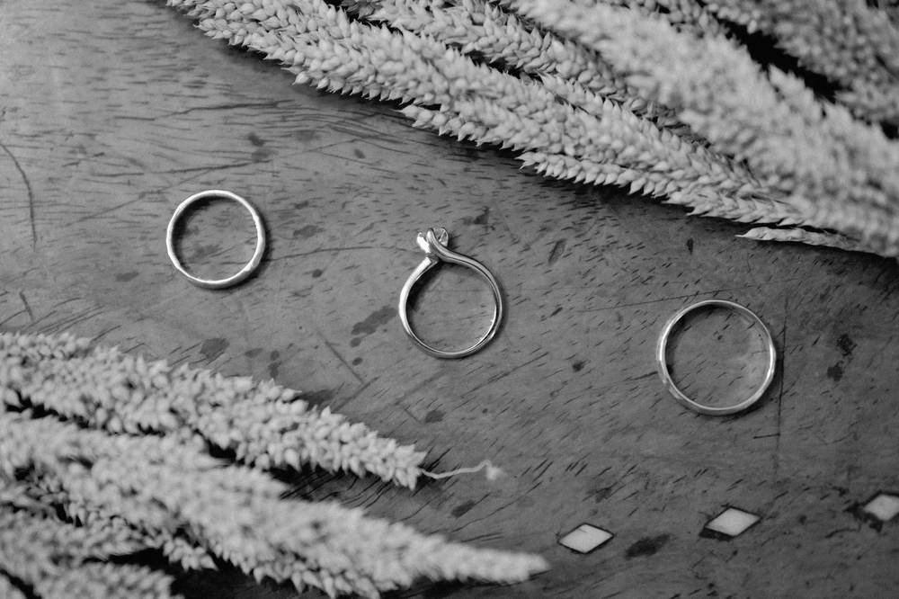 Three silver rings resting on dark textured stone beside dried grasses, in black and white