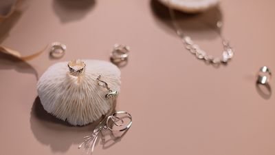 Rings and a crystal necklace arranged with a shell on a blush surface