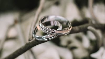 Two silver wedding bands resting on a slender branch